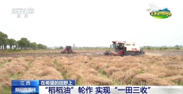 东北春播进Bwin必赢度近三成一键查看各地农业生产进度条→(图2)