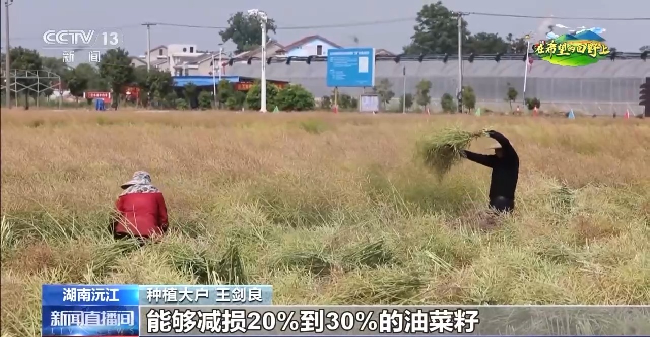 东北春播进Bwin必赢度近三成一键查看各地农业生产进度条→(图3)