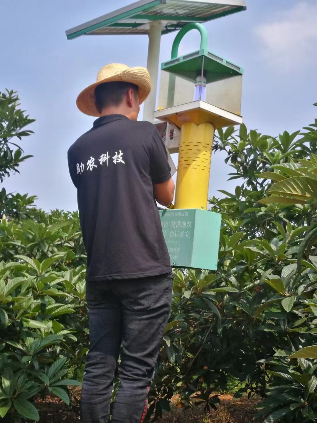 陆溪镇王四海：甘当种田现代化的推动者(图4)