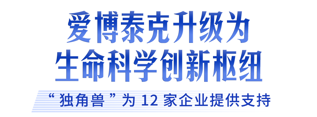利来国际注册牢记嘱托 建成支点丨激活民营经济一池春水(图26)