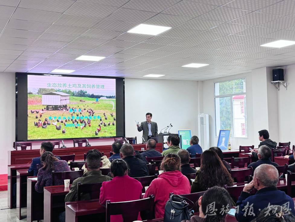 身边榜样 山河耕读十三春 阡陌深处有回响——记华中农业大学“硒望·农情”帮扶建始县团队(图3)