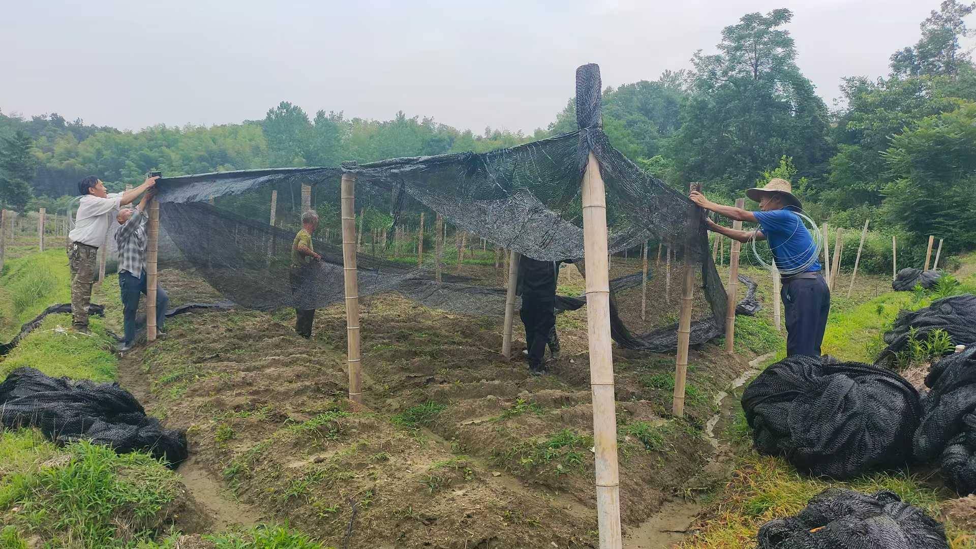 锲而不舍落实中央八项规定精神 | 让“躺平、假忙、占便宜”的村干部靠边站