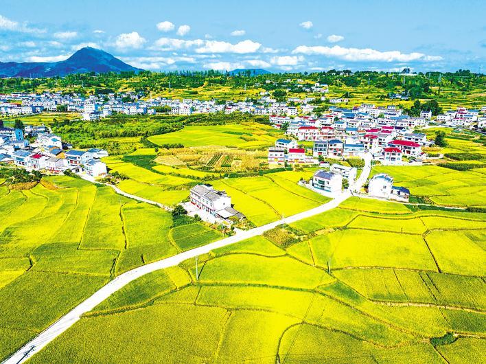 农业“压舱”稳大局 乡村“提质”焕新颜 十大重点农业产业链综合产值过万亿元