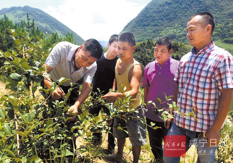 通山县人口有多少人口_通山县城被淹 全县转移安置人口3000余人