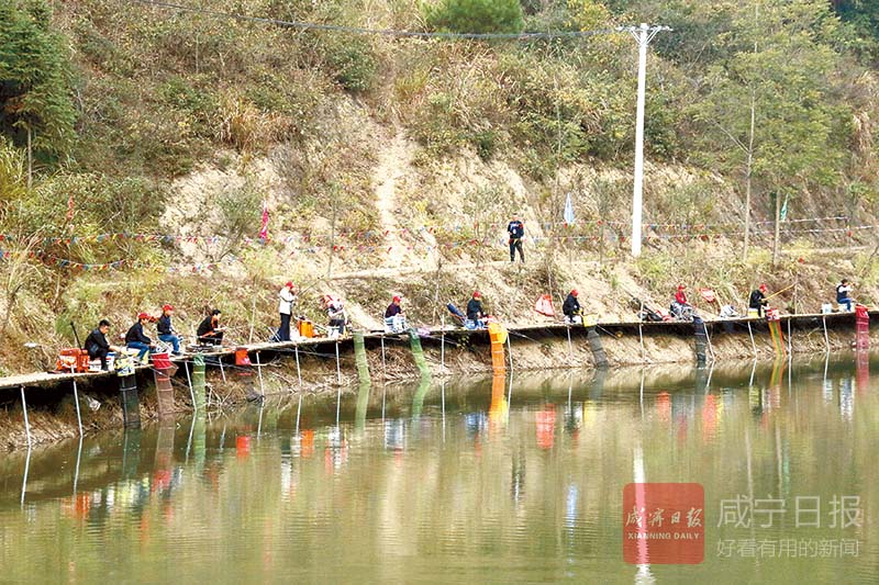 图文：山水大竹养心天堂