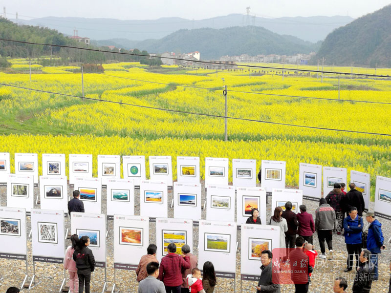 图文：田间影展