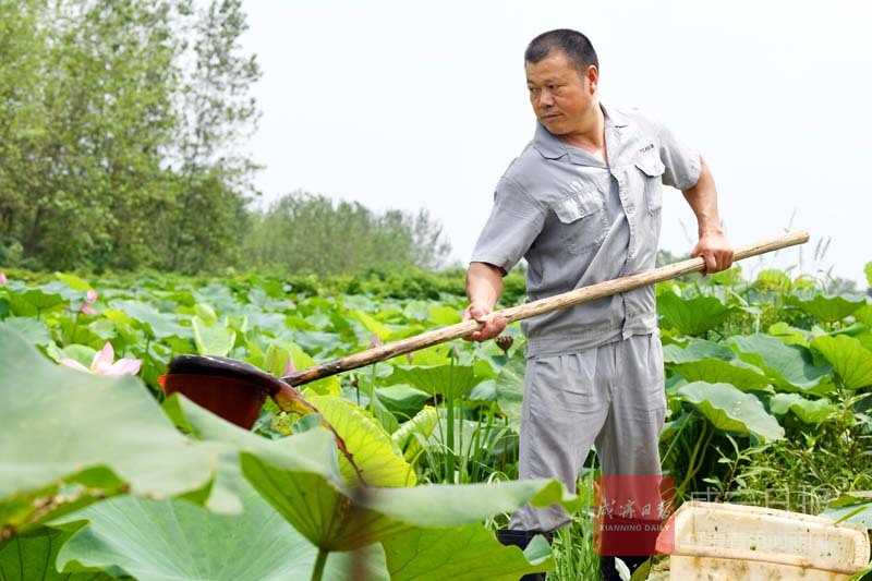 图文：生产自救 减少损失