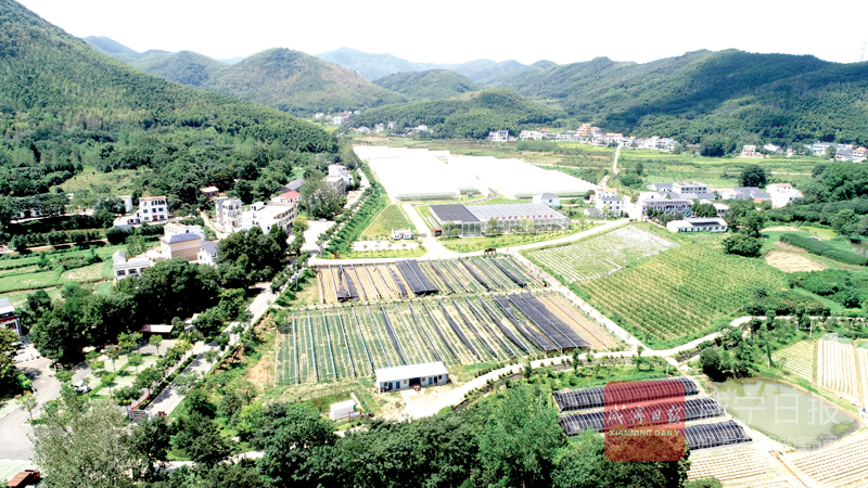 图文：咸安区洪口村农旅结合民富村美