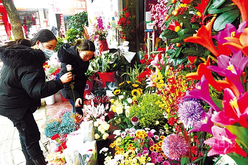 图文：买鲜花迎新春