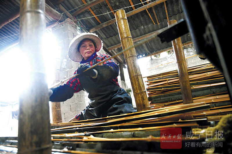 图文：楠竹加工助农增收