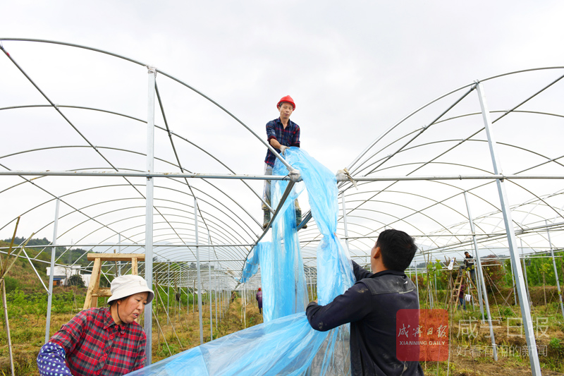 图文：打造生态田园综合体