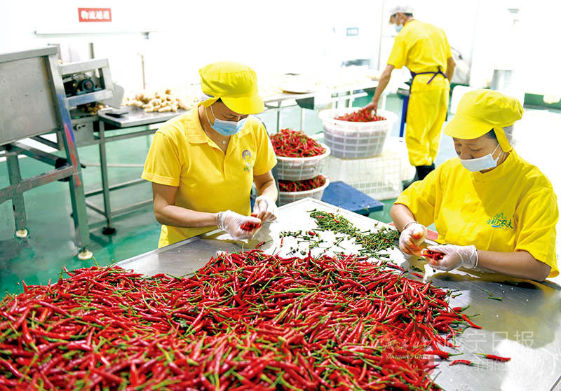 图文：加工休闲食品