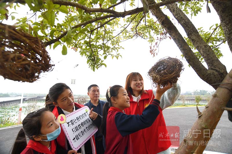 图文：为鸟儿安个 舒适的“家”