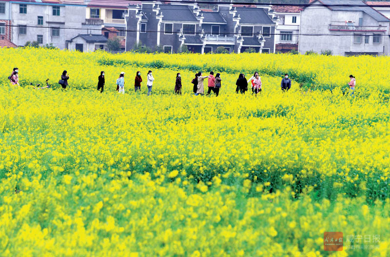 图文：踏青赏花