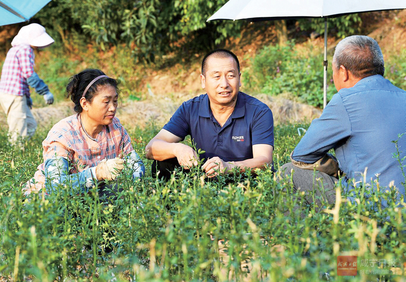 图文：致富带头人陈志远带动村民共富裕