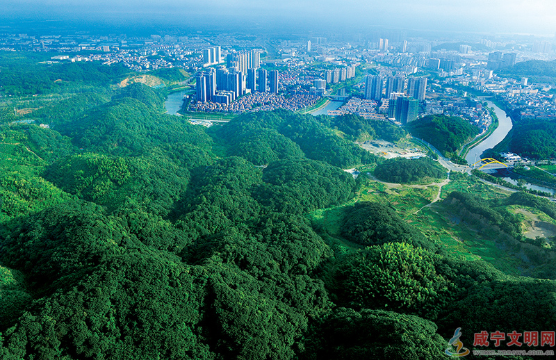 图文：绿意盎然 绘新景