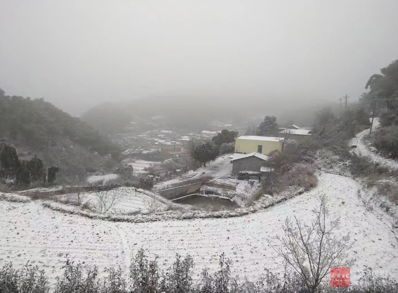 图文：今冬初雪