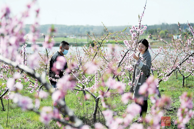 图文：踏青赏花  乐享春光