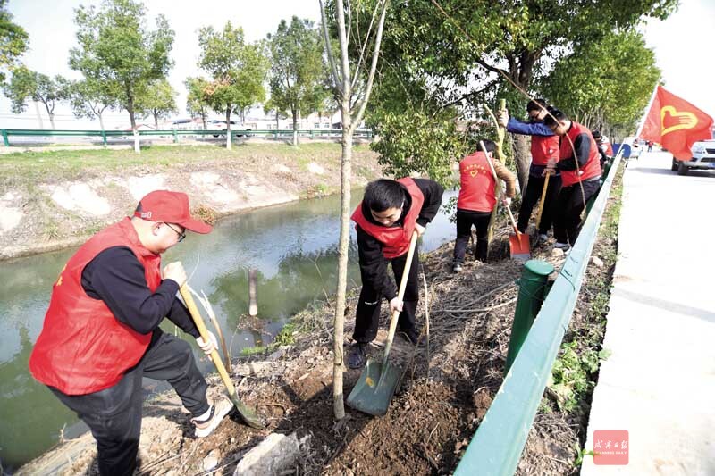 图文：春光无限好 义务植树忙