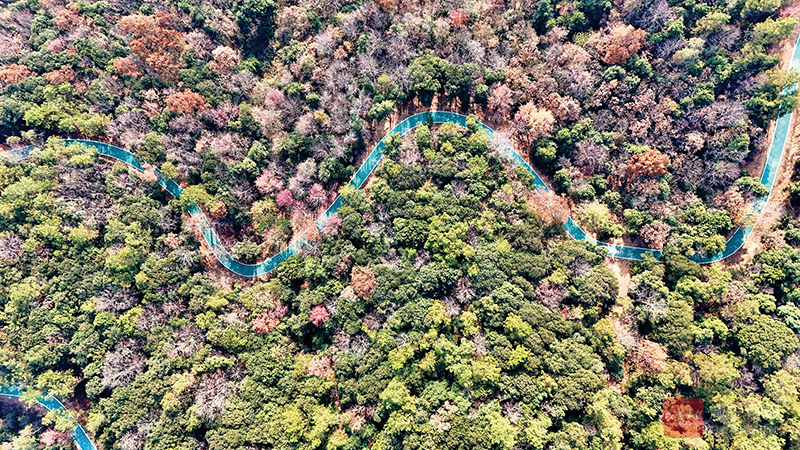 图文：绚丽青龙山