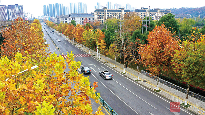 图文：一路好风景