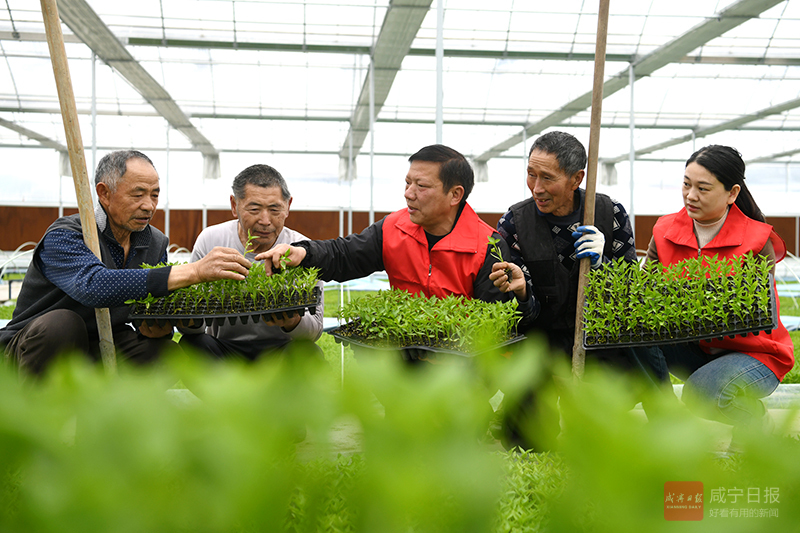 圖文：田間傳技?科學備耕