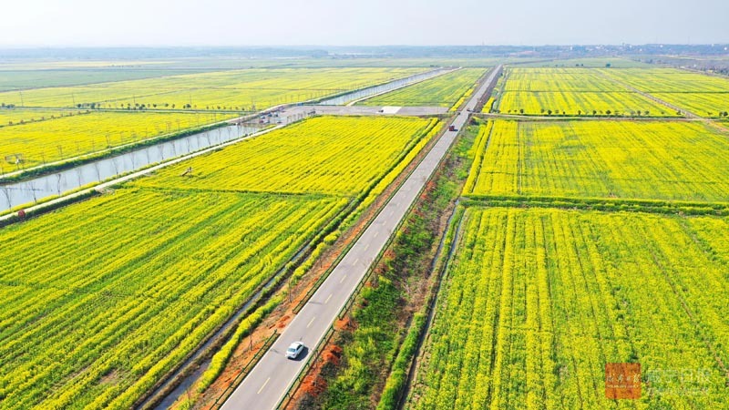 图文：建好公路体系 带火赏花经济