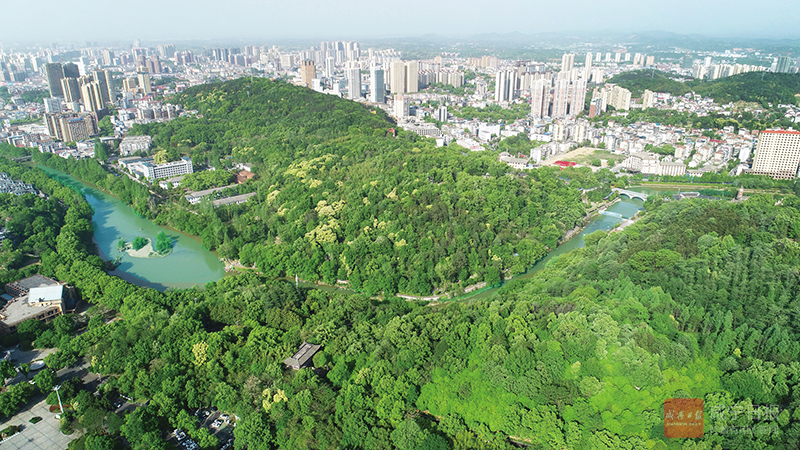 DJI_0293.jpg