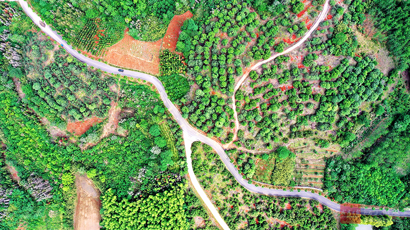 W020250428537476097210.jpg
