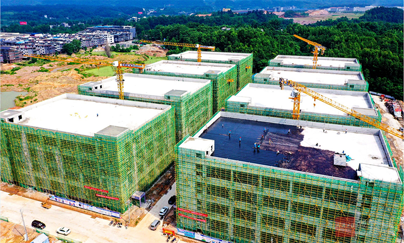 图文：崇阳农产品智慧物流园加速建设