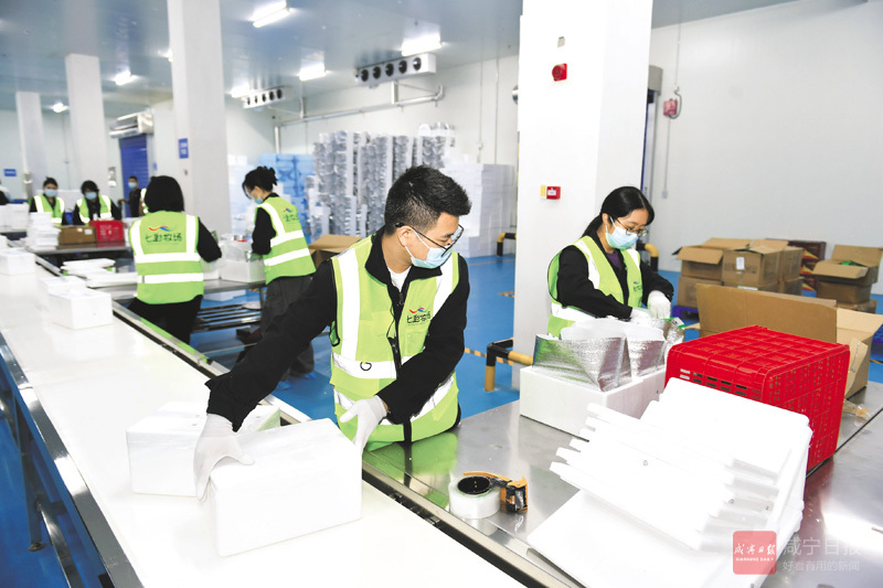 图文：生鲜冻品“链”接全国