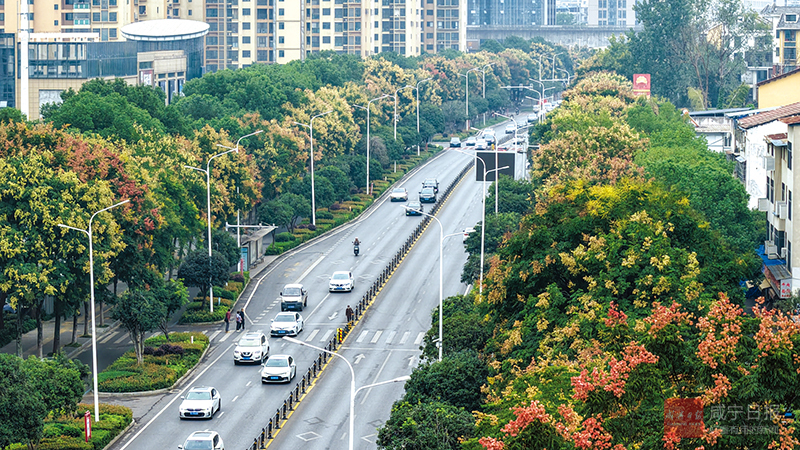 图文：街头繁花