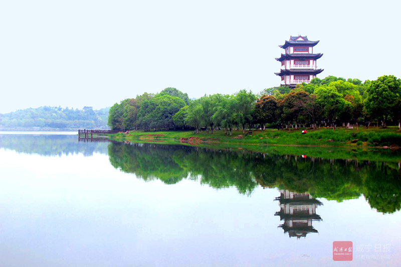 图文：烟雨二乔  春日闲章