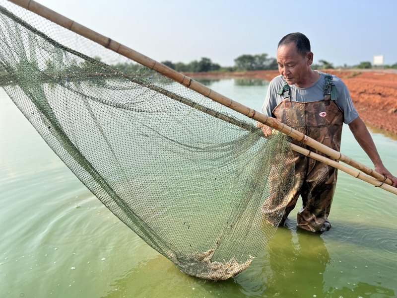 強龍頭補鏈條聚集群 嘉魚做大做強農(nóng)產(chǎn)品精深加工產(chǎn)業(yè)