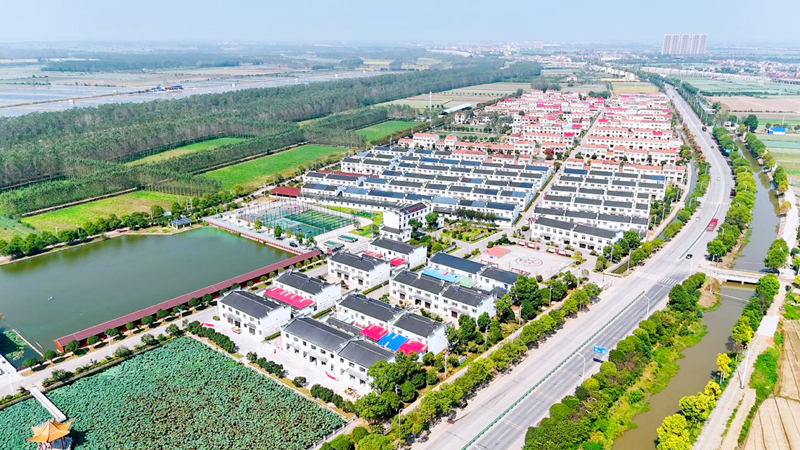 发吉鱼四邑村.jpg